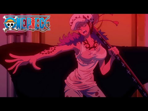 Law’s Crew Gender Swaps! | One Piece