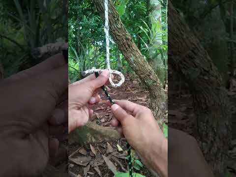 How to tie a Sheet Bend Knot #knot #short