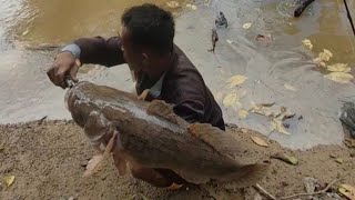 Rekorrrr!!! Mancing Ikan Betutu Purba !! Gilaaaaa ukurannya Bisa Sebesar Ini 😱😱