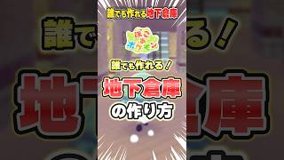 【ぽこ あ ポケモン】序盤からでも作れる便利な地下倉庫！  / Switch2【ポケモン大好きVTuber】 #shorts