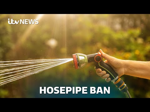 Hosepipe ban announced for Hampshire and Isle of Wight