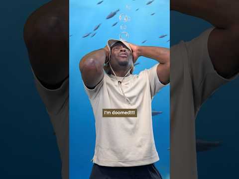 Fred The Fish: Deja Vu