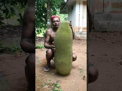 Big Jackfruit (43kg) Cutting #shorts #viralvideo #trending