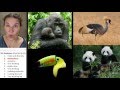 Genetic Relationships and Morphological Traits
