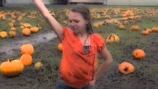 Pumpkin Patch- Gangnam Style