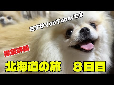 この子はやっぱりYouTuberです笑