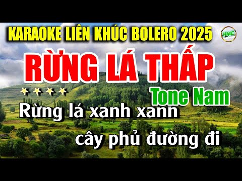 Karaoke Liên Khúc Trữ Tình Tone Nam Dễ Hát | Nhạc Vàng BOLERO Tuyển Chọn – RỪNG LÁ THẤP