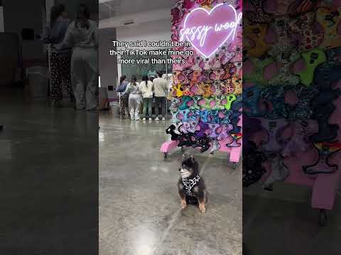 How Could They Not Let Peanut In The Video!😂🐶