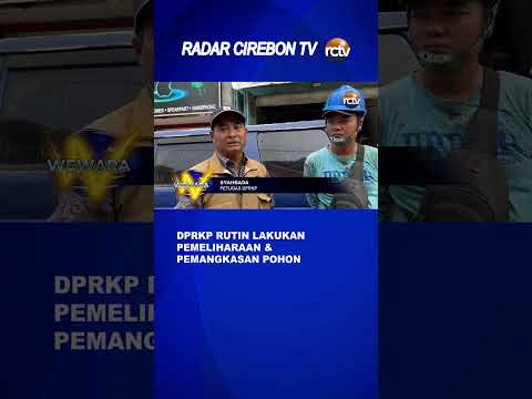 DPRKP Rutin Lakukan Pemeliharaan & Pemangkasan Pohon