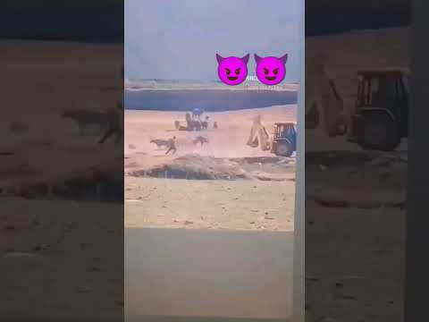 😈 Balu Mafia 😈JCB😈 subscribe my channel @Tractor_lover4394