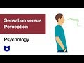 Understanding Sensation and Perception