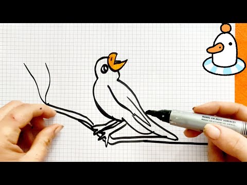 Step by step Very Easy drawing  coloring Bird How to draw and coloring for Kids #ldrawing #howtodraw