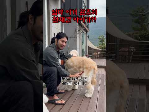 뜻밖의 발견 !! 개인기 미쳤다