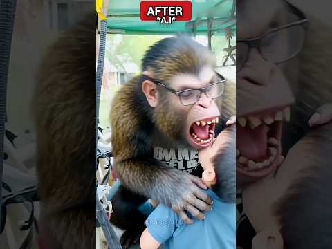 Angry monkey 🐒