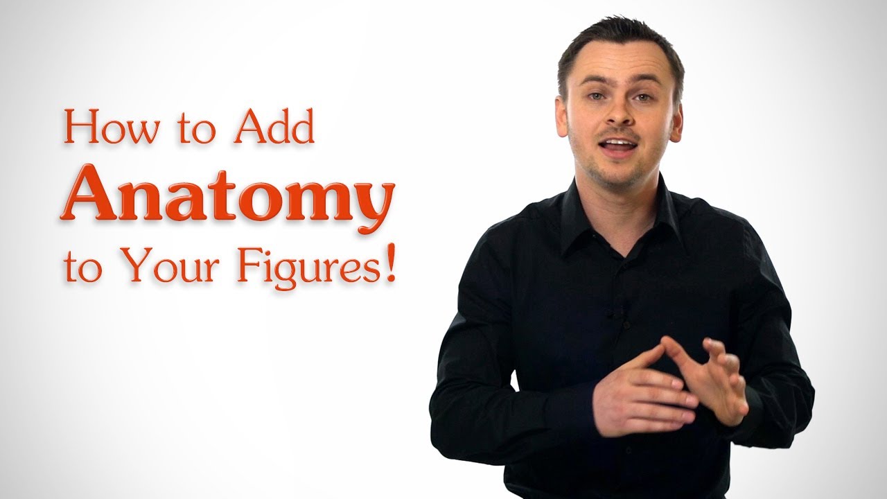 How to Add Anatomy to Your Figures - Proko