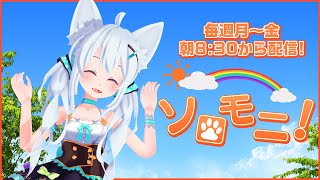【朝活☀ソロモニ】2025/6/16(月)おはソロ～！！初見さんも大歓迎だよ♪