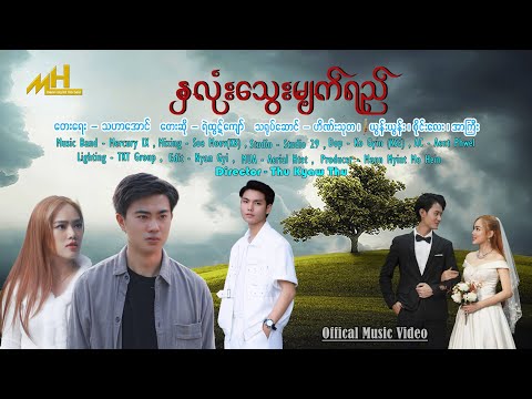 နှလုံးသွေးမျက်ရည် - ရဲထွဋ်ကျော် [Official MV]