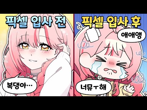 픽셀 입사 전과 <strong>후</strong> (아님)