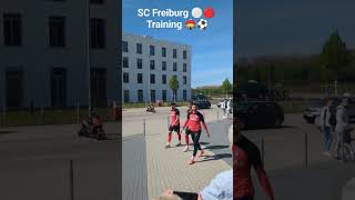 SC Freiburg, öffentliches Training