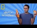 Understanding Air Fresheners and Limonene