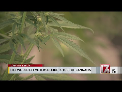 YouTube video thumbnail: Bill Would Allow North Carolina Voters to Choose Future of Cannabis in the State
