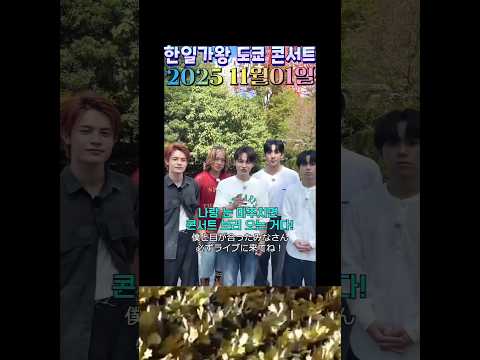 도쿄 콘서트 박서진 보러 오세요 💛▶️ #박서진 #콘서트 #한일콘서트