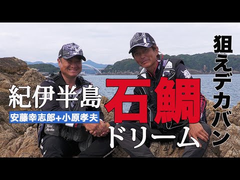 舞い込め【安藤幸志郎】和歌山県出雲のデカバン石鯛に挑む。