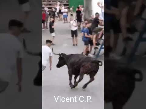 "BALILLA" y "BARONESA" por Betera
