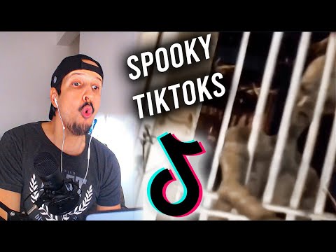 What Was THAT ? Scariest TikToks Reaction