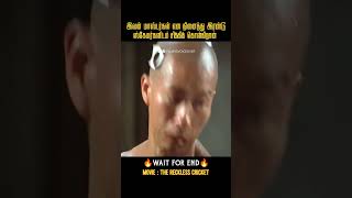 மாஸ்டர்கள் என நினைத்து ஸ்கேமர்களிடம் மாட்டிக்கொள்கிறான்  |Kungfu|Movies explained in tamil