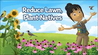 A WonderGrove for Birds: Reduce Lawns, Plant Natives