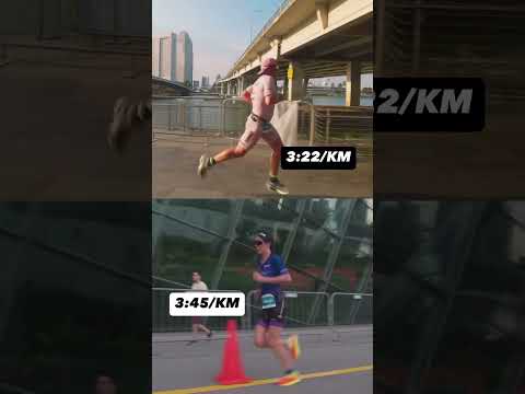 They run the Lion City 🦁