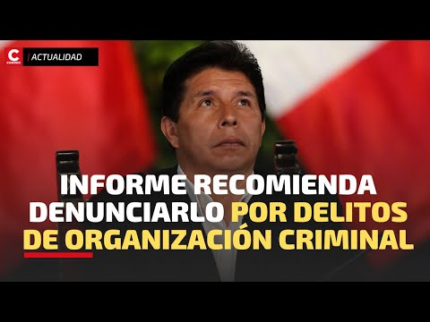 PEDRO CASTILLO: Informe recomienda denunciarlos por delitos de organización criminal