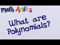 Exploring the Fundamentals of Polynomials