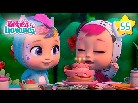 Hoy es el Cumpleaños de Dotty 🎂 BEBÉS LLORONES 💕 Lágrimas Mágicas 💧 Capítulos DIBUJOS para NIÑOS