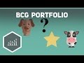 bcg-portfolio/