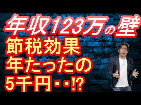 【超悲報】年収123万円の壁創設による減税は半分ウソ！？年間わずか５千円程度の減税効果。。その真相について解説します。【期待ハズレの税制改正2025】