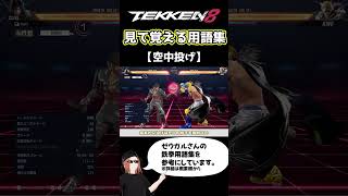 【鉄拳8】見て覚える用語集【空中投げ】