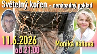 Světelný kořen - nenápadný poklad pro lidstvo s Monikou Váňovou