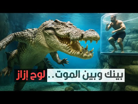 حمامات سباحة علشان تنزلها.. لازم تكون مجنون