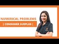 Consumer Surplus and Equilibrium Concepts