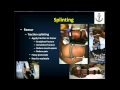 Splinting Techniques and Management