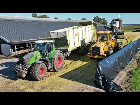 Mais Silage 2024 | Fendt Katana 650 + Fendt 728 | BMWW