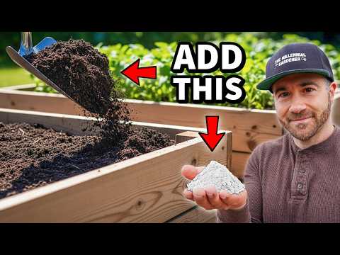 Add THIS To Your Soil NOW For EXTREME Production!