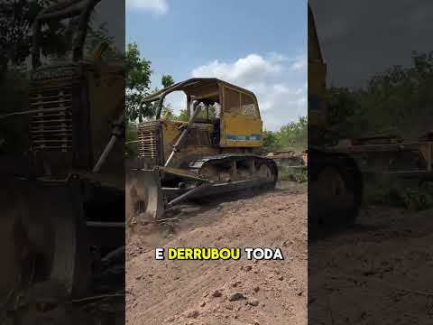 vejo uma atitude desse cara