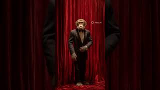 Monkey Singing Shock The Monkey By Peter Gabriel - Please like, share & subscribe for free