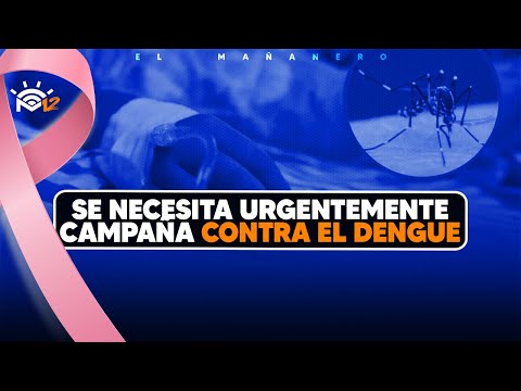 Se necesita urgentemente campaña contra el dengue - (Lo Bueno, Malo y Feo)