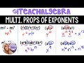 Exploring Multiplication Properties of Exponents and Monomials