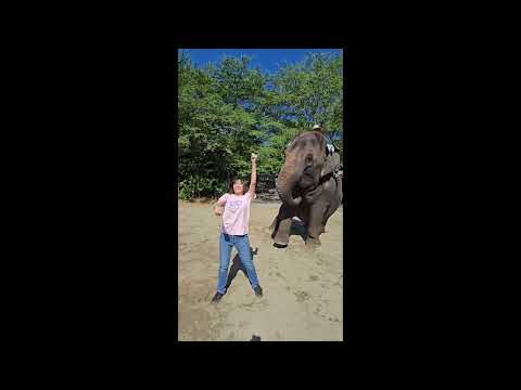 オリジナルソング「ぞうさんと一緒に」ダンス