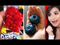 Food Comparisons and Unique Features